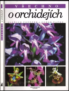 Všechno o orchidejích