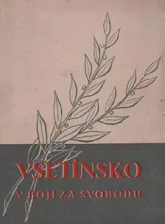 Vsetínsko v boji za svobodu