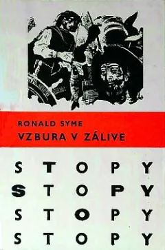 Vzbura v zálive