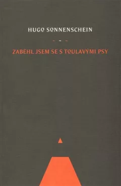 Zaběhl jsem se s toulavými psy