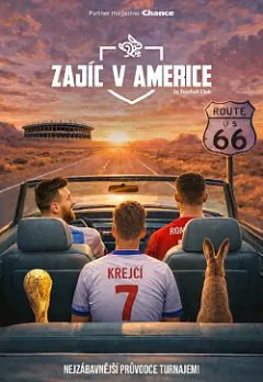 Zajíc v Americe