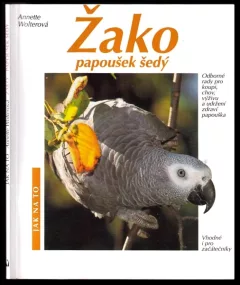 Žako, papoušek šedý
