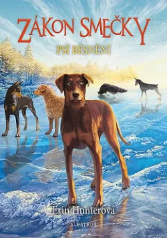 Psí běsnění