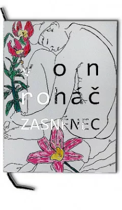 Zasněnec