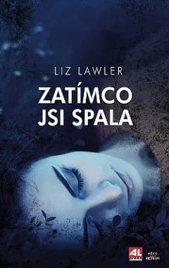 Zatímco jsi spala