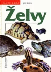 Želvy