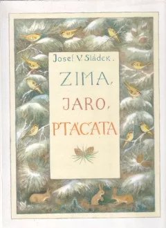 Zima, jaro, ptáčata