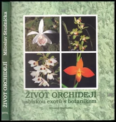 Život orchidejí