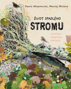 Život spadlého stromu