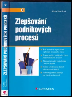 Zlepšování podnikových procesů