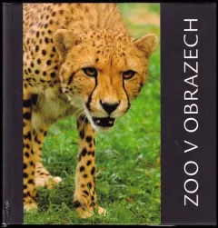 Zoo v obrazech