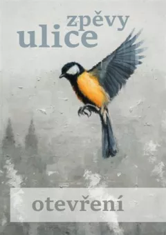 Zpěvy ulice