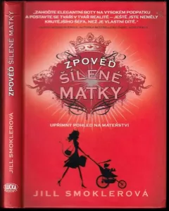 Zpověď šílené matky : upřímný pohled na mateřství