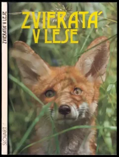 Zvieratá v lese