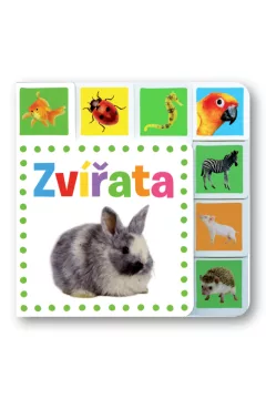Zvířata