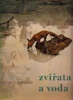 Zvířata a voda